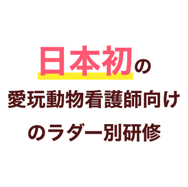 8/1スタート