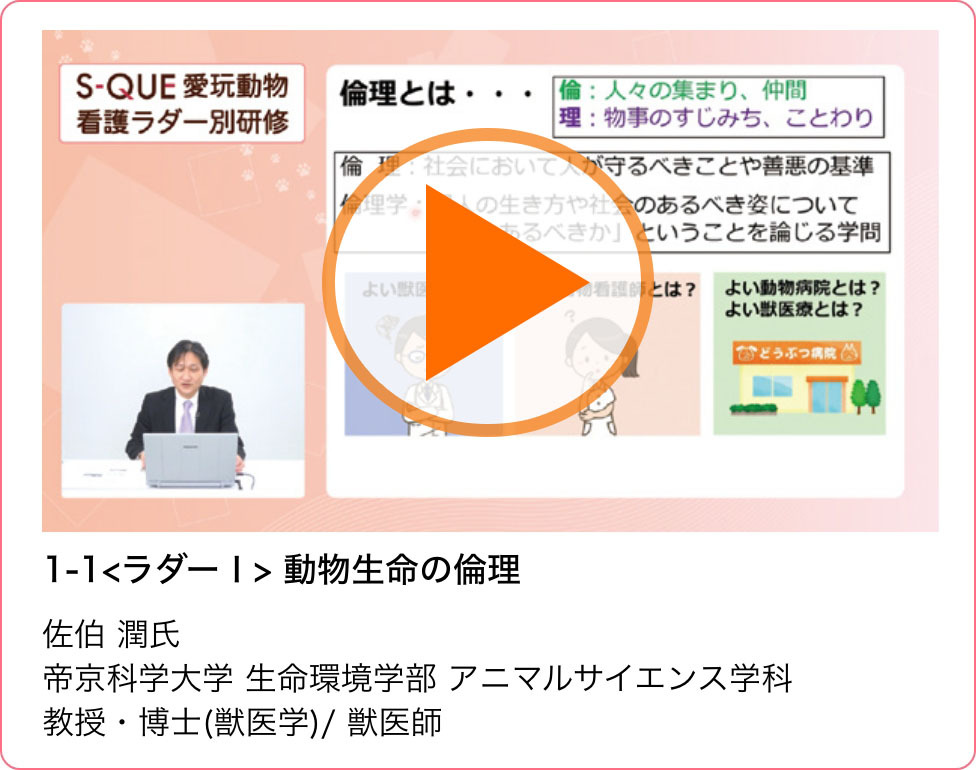 サンプル動画01