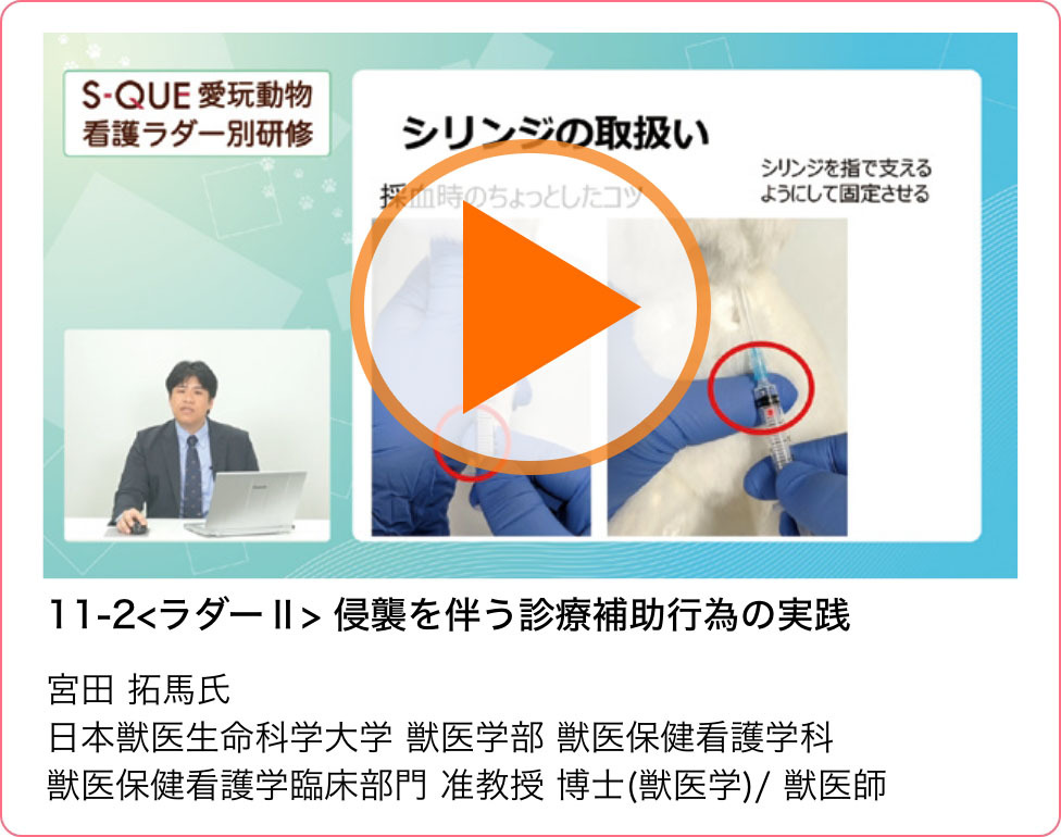 サンプル動画03