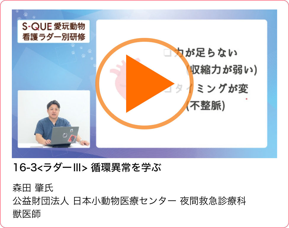 サンプル動画05
