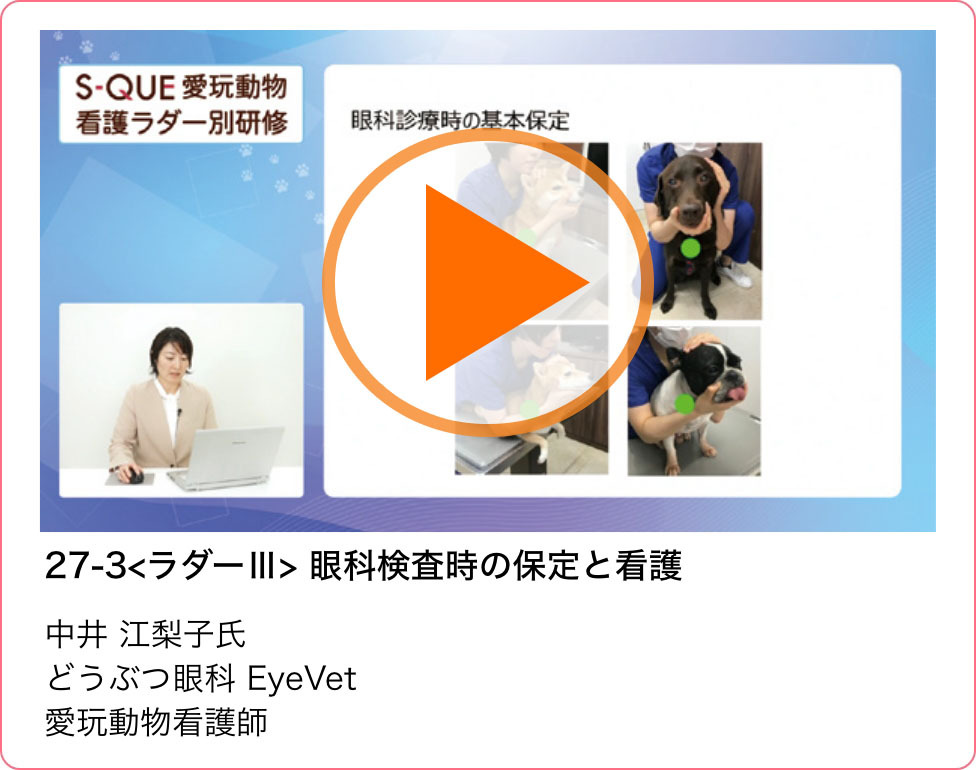 サンプル動画06