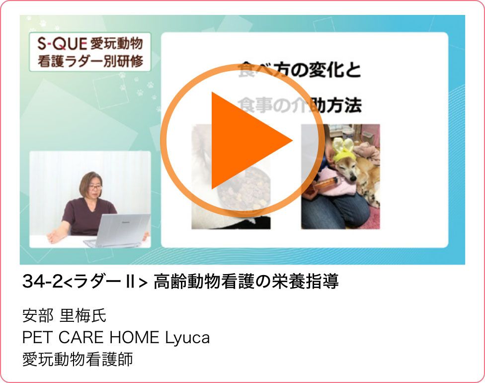 サンプル動画04