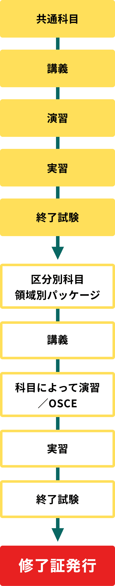研修フロー